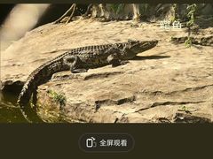 -南昌动物园