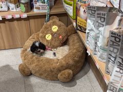 -FAELING PETS美天灵宠物(富力广场店)