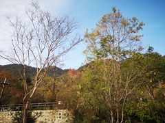 -塔川景区
