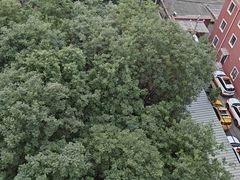 -南锣鼓巷吉他吧(鼓楼店)