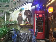 -国生茶庄·地道农家菜团建活动