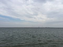 -碧海金沙