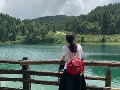 -武陵山森林公园