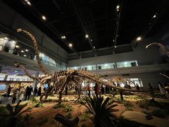 -自贡恐龙博物馆