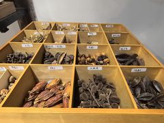 -月栖华明-云间草堂清茶馆(泗泾古镇店)