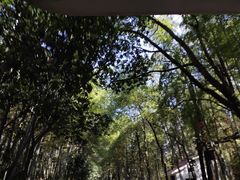 -石燕湖生态旅游景区