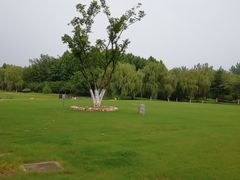 -滨湖塘西河公园