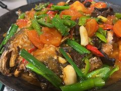 -金龙寨(解西店)