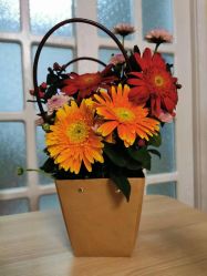 -蔓馨宜母婴护理中心(橡树星座店)