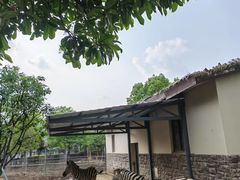 -苏州上方山国家森林公园