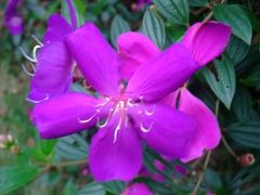 DSCF9846-茂德公草堂