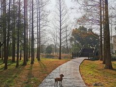 -南湖湿地公园
