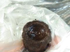 -都恩客(高岛屋百货店)