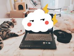 -猫大福·Fortune Cat猫舍(百子湾店)