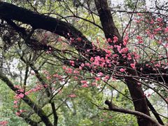 -宁波市保国寺古建筑博物馆