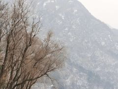 -秦岭终南山世界地质公园翠华山景区