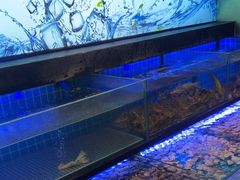 -透明思烤·自助烤肉海鲜火锅(东部星悦天地店)