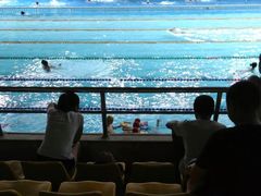 -重庆市奥林匹克体育中心-游泳跳水馆