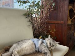 -小时光咖啡馆(北锣鼓巷店)