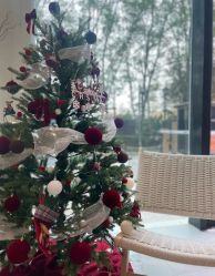 -YogaTime瑜伽时光