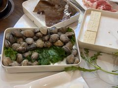 -印象高密·凤都国际大酒店