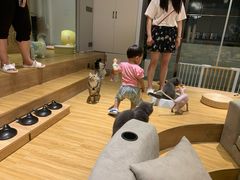 -啵啵喵·猫咖(攀华国际店)