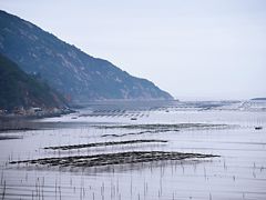 -北岐滩涂