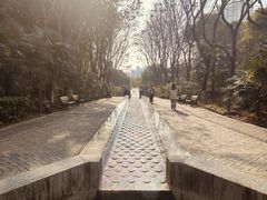 -苏州河梦清园环保主题公园