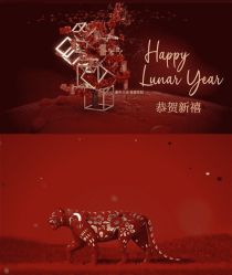 -安吉拉青春化管理中心