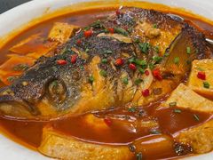 乾隆鱼头烧豆腐-乾隆美食·本帮菜(黄河路店)