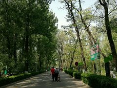 -顺鑫绿色度假村