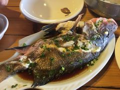 -蓝湾碧波·老字号·疍家非遗海上餐厅