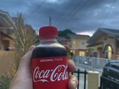 -苏梅花园(群星城店)