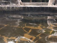 -龙达温泉生态城