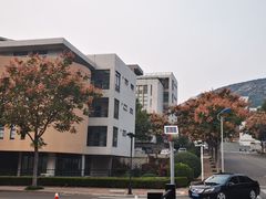 -山东艺术学院(长清校区)