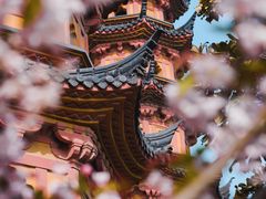 -盘门景区