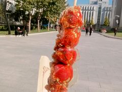 -北京联合大学(北四环校区)