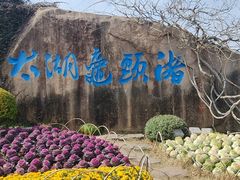 -无锡蠡湖国家湿地公园-蠡园