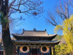 -晋祠公园