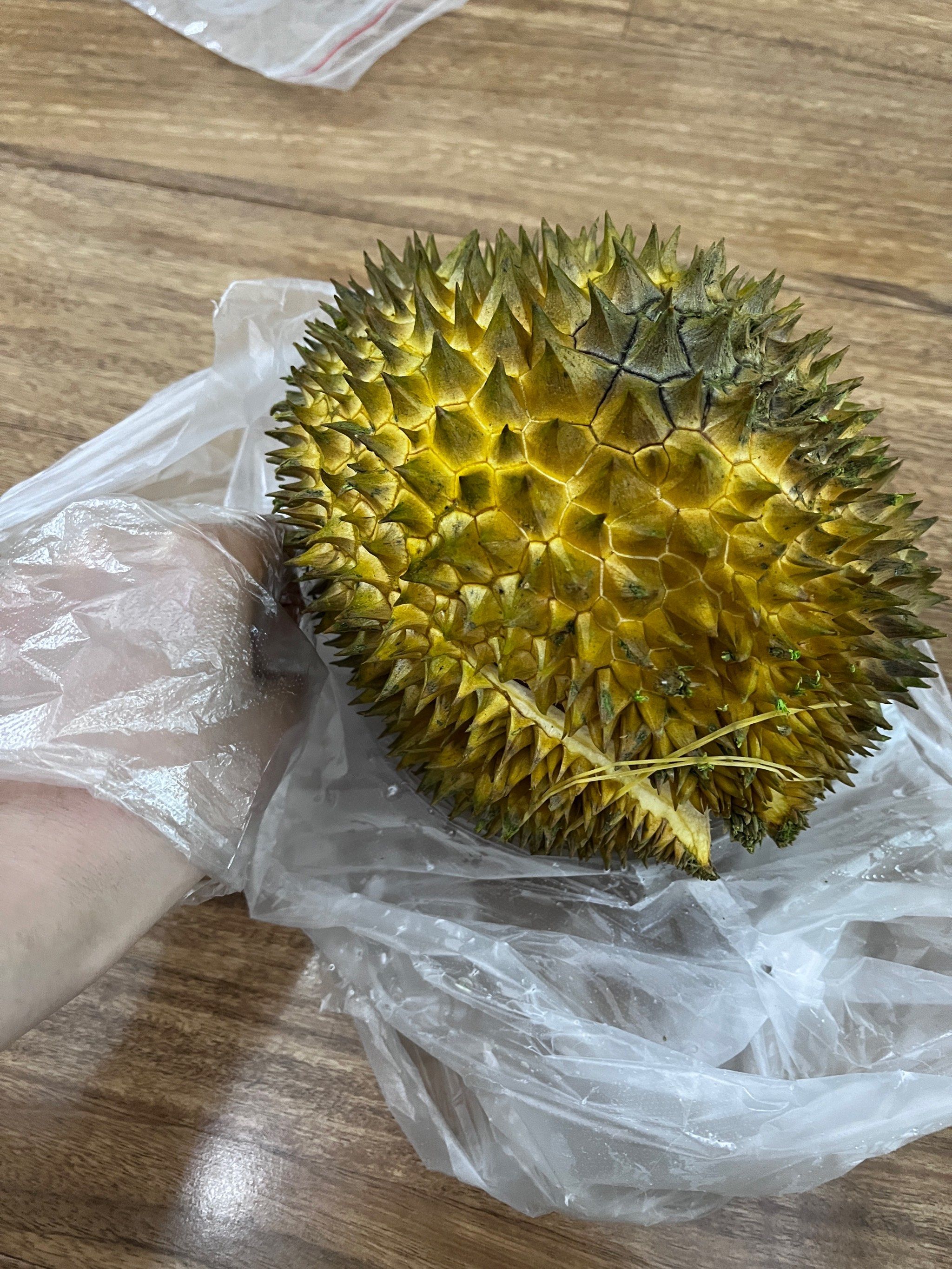 进来看看我这个榴莲有多烂