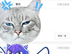 -舒小笼松针小笼包