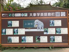-野象谷景区