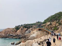 -广东惠东海龟国家级自然保护区