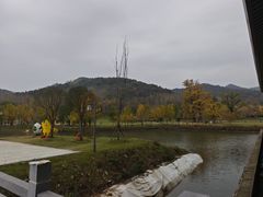 -千年银杏谷文化旅游区