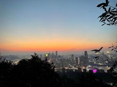 -南山植物园