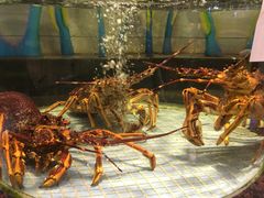 -新海利海鲜城·41年珠海老字号(夏湾店)
