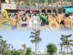-重庆海昌加勒比海水世界