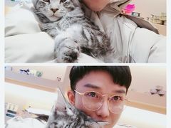 -Pets First伊珊娜洗护·精致美容·家庭式寄养(新会路店)