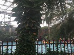 -龙达温泉生态城