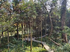 -狼山风景名胜区